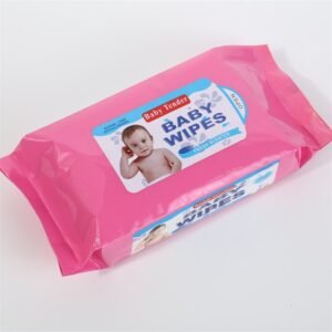 Toallitas Húmedas (80u)